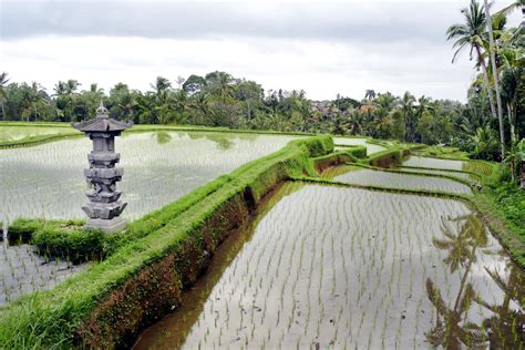 Campuhan Ridge Walk in Bali - Scenic Mountain Valley and Hiking Trail in Ubud – Go Guides