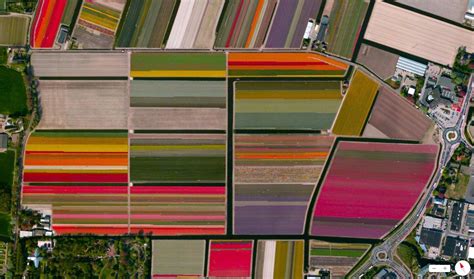 Tulip Fields From Above Landscape Photography Earth From Space