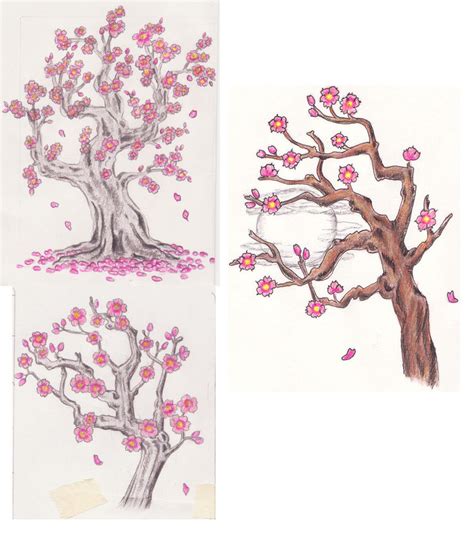 Japanese Cherry Blossom Tree Drawing at GetDrawings | Free download