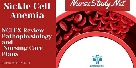 Sickle Cell Anemia Nclex Review Nursing Care Plans