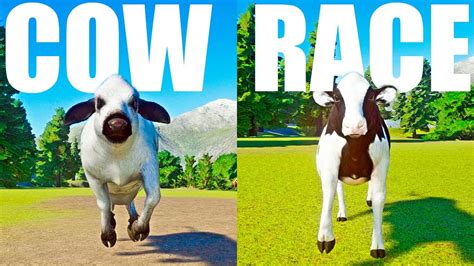 All Cow Category Speed Race In Planet Zoo Swedish Mountain Cow Vs