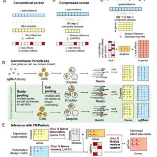 Framework For Compressed Perturb Seq A Schematic For Conventional