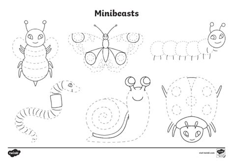 Eyfs Minibeasts Pencil Control Activity Pdf