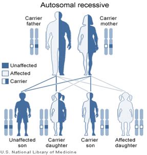 Know Your Genetics – Thalassemia – GeneTech