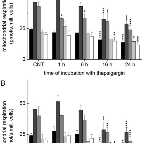 Effect Of Thapsigargin And Tunicamycin On Expression Of Hrd Hsp And