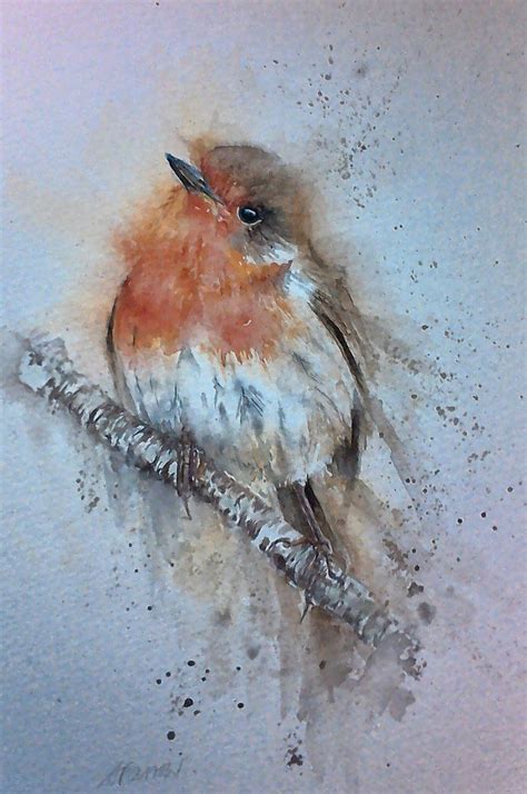 Robin Original Watercolour By Sylvia Farrow Bird Watercolor Paintings