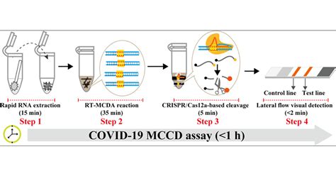 Rapid Ultrasensitive And Highly Specific Diagnosis Of Covid By