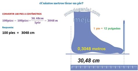 Cuánto mide un pie en centímetros Mundo Genial de la Matemática