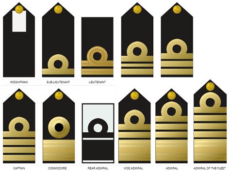 Nigerian Navy Ranks, Symbols & Salary Structure (2025) – Nigerian Finder