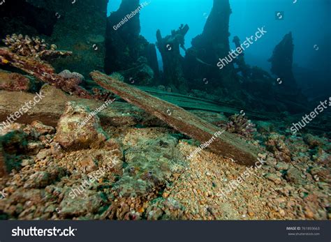 Crocodilefish Cymbacephalus Beauforti Wreck Cargo Ship Stock Photo