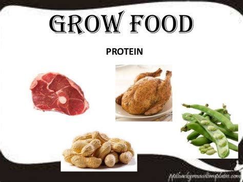 Gallery Grow Foods
