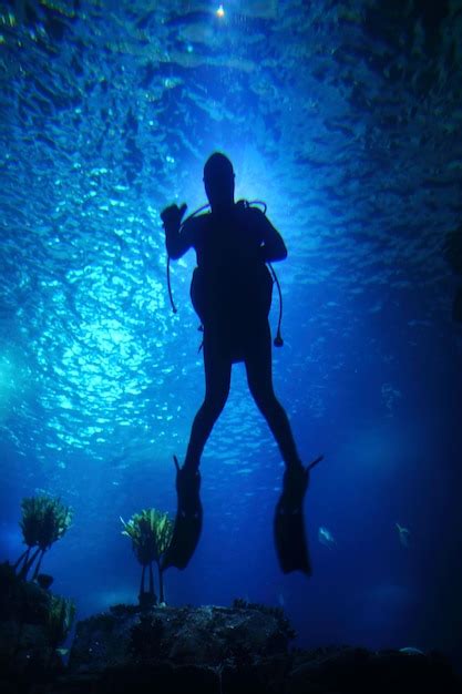 Silueta De Un Hombre Nadando En El Mar Foto Premium