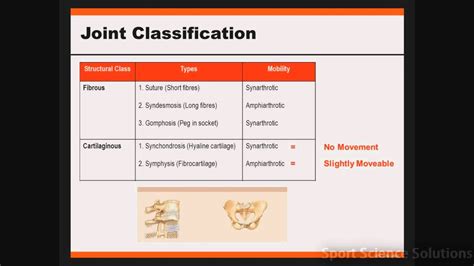 Joint Classification Joint Classification Body Joints