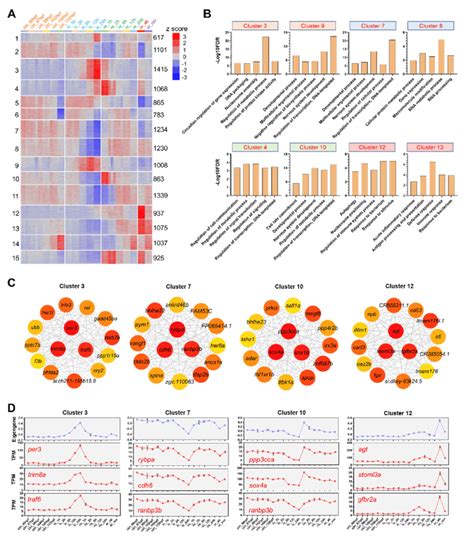 Clustering Analysis Gene Ontology Go Enrichments And Coexpression