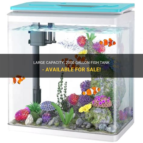 Large Capacity 2000 Gallon Fish Tank Available For Sale PetShun