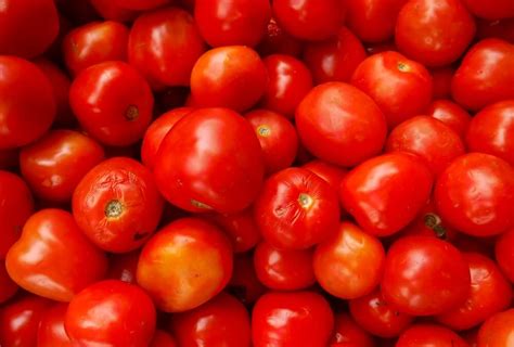 Common Tomato Growing Mistakes To Avoid