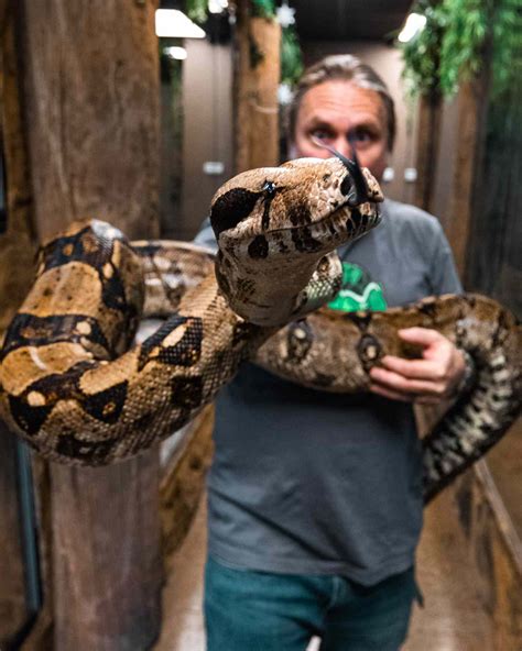 Reptile Zoo Owner with Cancer Says He Won't Live to See Aquarium Open