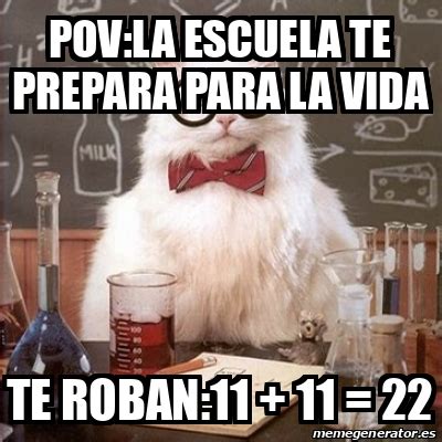 Meme Chemistry Cat Pov La Escuela Te Prepara Para La Vida Te Roban 11