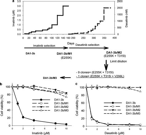 Generation Of Bcr Abl Mutated Cells A Da1 3b Cells Carrying A