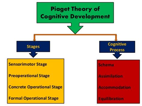 Theory Of Development Of Social Play Jean Piaget Cheap Sale