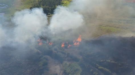 Incendios En Misiones Alerta Extrema Y Llamado A La Conciencia