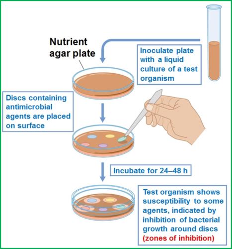 Controlling Microbial Growth Flashcards Quizlet