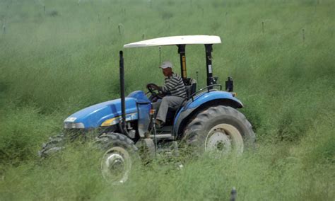 Un Million Dhectares Au Profit Des Petits Agriculteurs Le Matin Ma