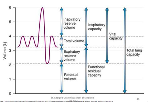 Exam Pulmonary Function Tests And Cardio Pulmonary Disorders