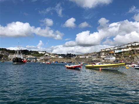 Mevagissey Mackerel Fishing Trips 2021 All You Need To Know Before