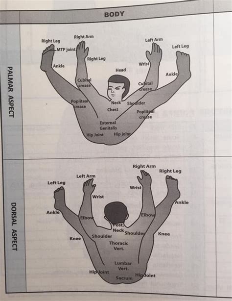 Funny-Odd-Science-Diagrams | Science diagrams, Science textbook ...