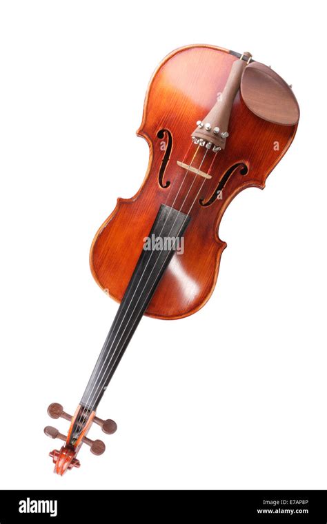 With Violin Cut Out Stock Images Pictures Page Alamy