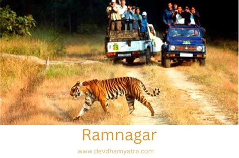 Top 5 places to visit near Ramnagar