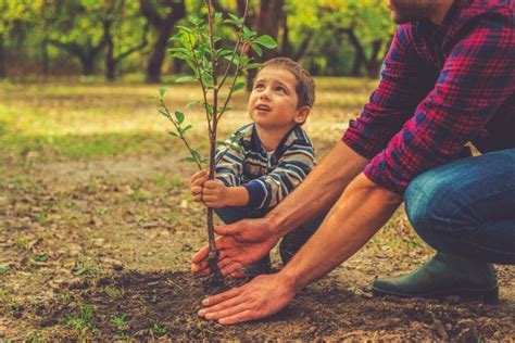 Educazione Ambientale Perch Utile Piantare Pi Alberi In Citt