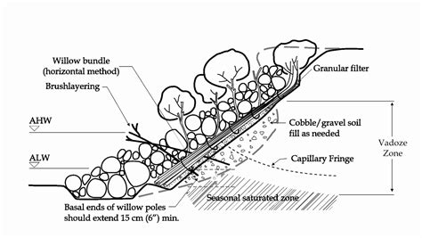 Streambank Soil Bioengineering Approach To Erosion Control Intechopen