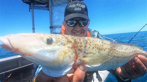 Fishing The Best Tasting Fish In Australia Catch N Cook Fish Tucker Man