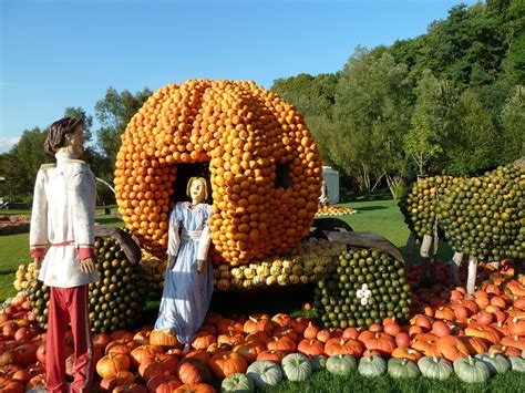 La Zucca Da Carrozza Di Cenerentola A Piatto Gourmet Delle Tavole