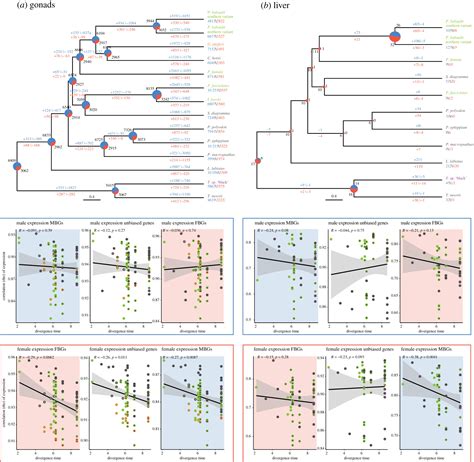 Sex Biased Gene Expression And Recent Sex Chromosome Turnover