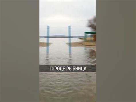 Днестр вышел из берегов - YouTube