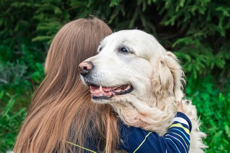 Conseils Pour Garder Son Chien En Bonne Sant