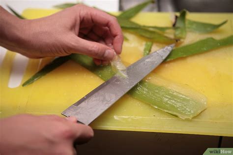 Como Preparar Suco De Aloe Vera 15 Passos Imagens