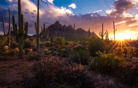 Arizona Desert Sunset Wallpapers 4k Hd Arizona Desert Sunset Backgrounds On Wallpaperbat