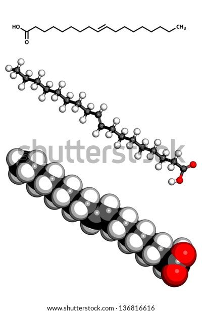 Elaidic Acid Trans Fatty Acid Molecular Stock Vector Royalty Free