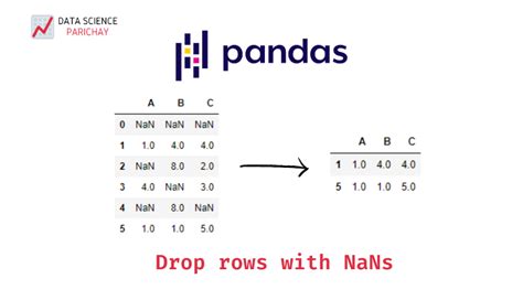 Drop Rows With Nans In Pandas Dataframe Data Science Parichay