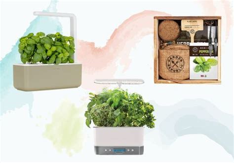 We Tested The Best Herb Garden Kits For Deliciously Easy Produce At Home