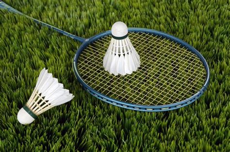 Fundamentos Técnicos Del Bádminton El Arte De Jugar Al Bádminton