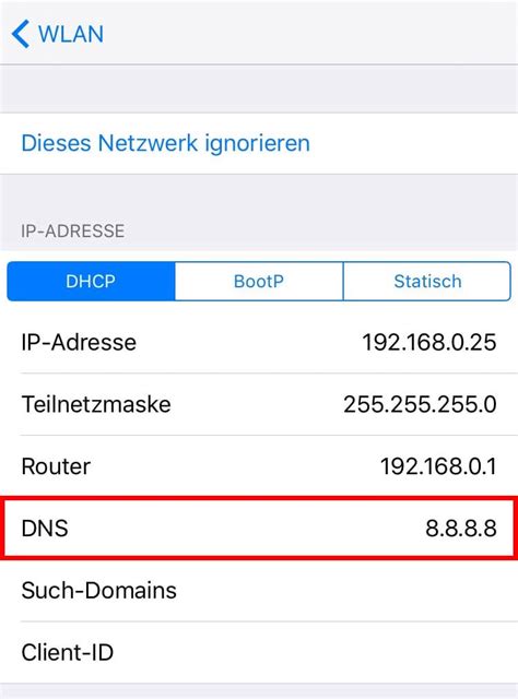 Iphone Dns Einstellungen Ndern Safari Schneller Machen