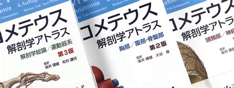 プロメテウス解剖学アトラス 解剖学総論運動器系 第3版（他2巻） Anatomy 今日も明日もプロメテウス解剖学アトラス 解剖学総論