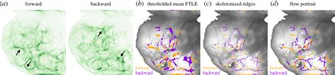 Go With The Flow Visualizing Spatiotemporal Dynamics In Optical