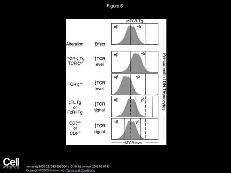 Tcr Signal Strength Influences αβγδ Lineage Fate Ppt Download