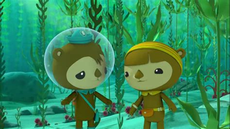 Shellington Octonauts